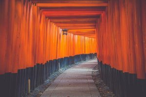 林駒夫の代表作品