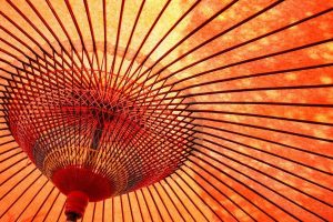 丸平大木人形店の経歴
