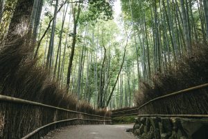 松乾斎東光の代表作品